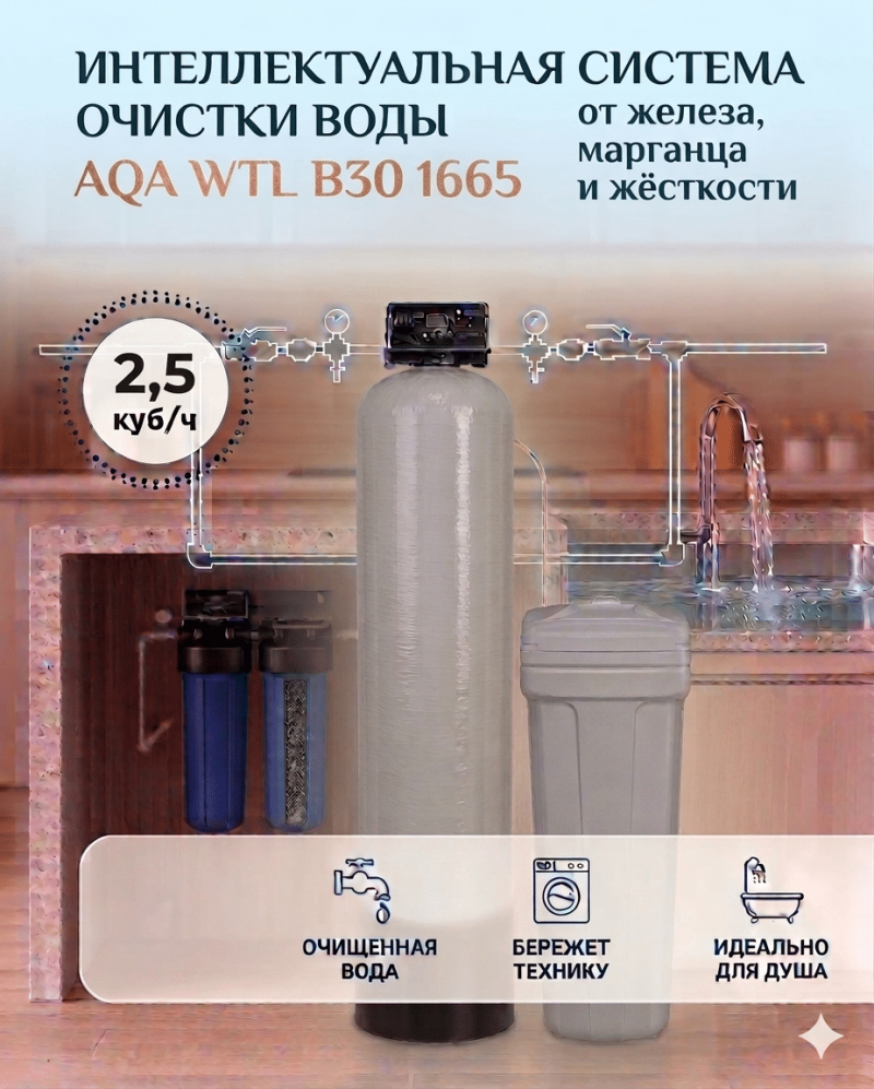 WTLB30 1665 Система для удаления большого содержания железа и жесткости воды из скважины.
